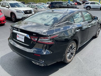 2023 Nissan Maxima SV